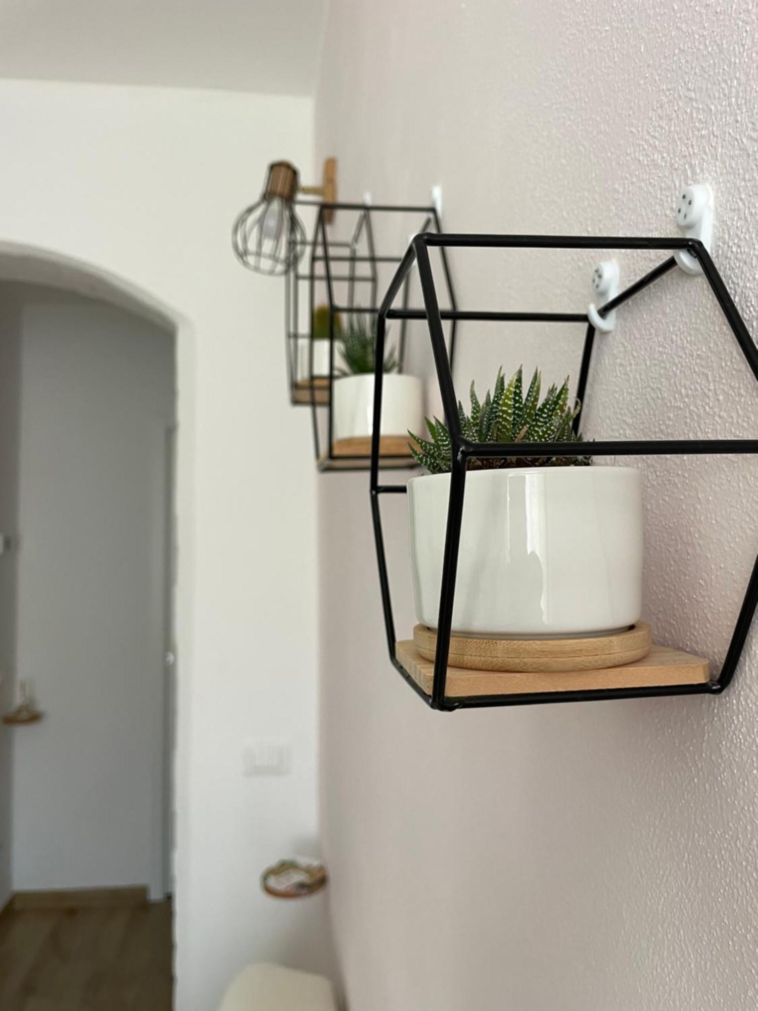 Cujo Apartment Специя Екстериор снимка